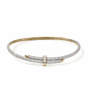 Artisan Series Spear Flex Choker|NGP02308WDI