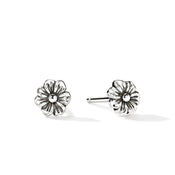 Wildflower Stud Earrings, Sterling Silver|EB43055
